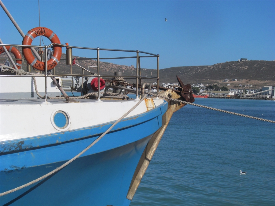 0 Bedroom Property for Sale in Harbour Lights Western Cape